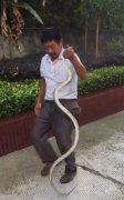“小青”来院子串门 被“法海”逮个正着