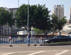 马路中间狂拍重庆美景 这姿势可“要不得”