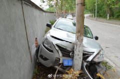 为躲避小狗猛打方向盘 小车冲出道路撞上树