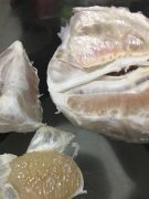 市民自曝买到假柚子 网友评论亮了