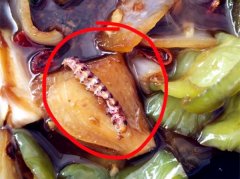 外卖里吃到肥虫神似鱿鱼须 画面令食客震惊