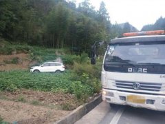 轿车失控冲进农田 差点撞上农家墓碑