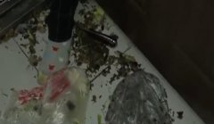 女子出门丢垃圾 却被挨了打