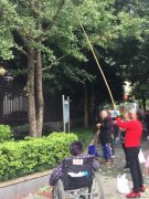 大妈“棒打”街边银杏果 路人希望手下留情