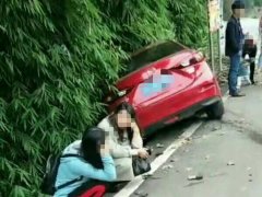 两车岔路口相撞 一车“陷”进路边树丛