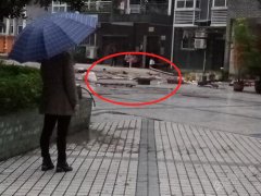 楼上住户将家中物品扔出窗外 小区楼下一片狼藉