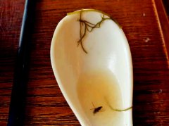 肥牛汤锅里吃出蚊子 商店回应：你看吃都吃完了