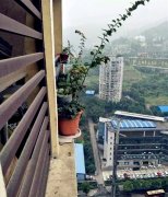 高层住户悬放盆栽于楼层外   画面看着很危险