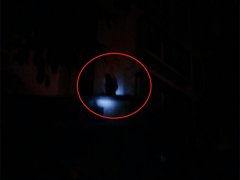 花猫被困二楼阳台 消防黑夜打着电筒寻找