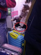 <b>小孩在车厢座位上大便 家长用塑料袋垫住</b>