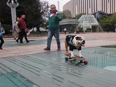 网红犬戴大金链滑滑板 网友：又土豪又帅气