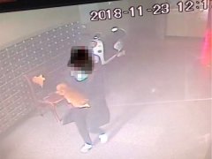 女子抱走宠物狗被监控拍下 失主愿拿500元红包赎回