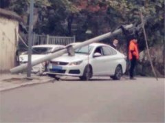 小车迎头撞断电线杆 车头被砸画风尴尬