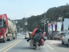 男子驾驶摩托上路 满载货物还“夹带”乘客