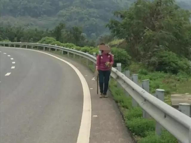 重庆一老太背着孙子在高速公路上行走
