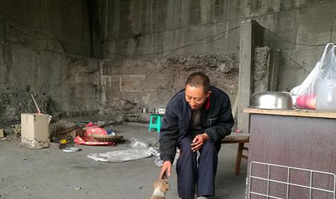 男子瞒家人住桥洞10年研究彩票 坚持有成果再回家