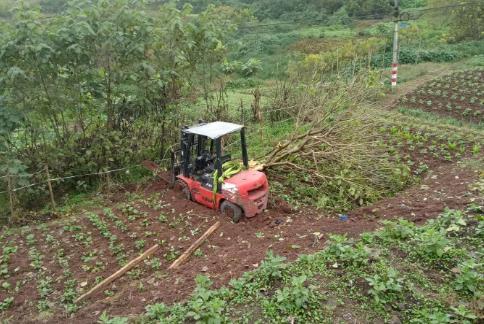 叉车违规上路出事故 两人跳车一人摔伤