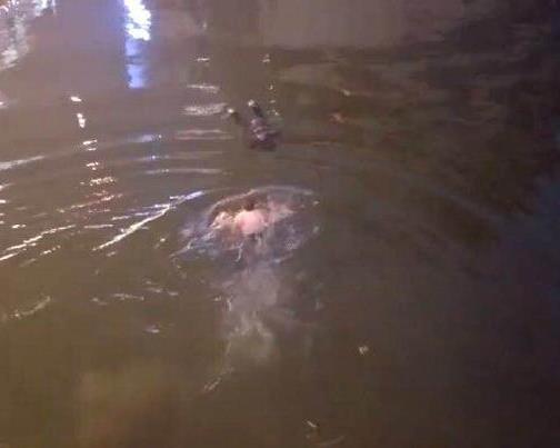 女子跳河轻生 六旬老人跳河相救