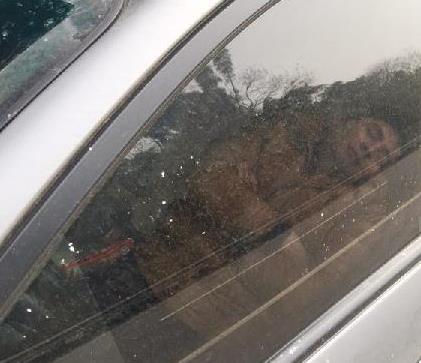 司机高速路上睡觉上演“南辕北辙 ”  扣了6分还罚200