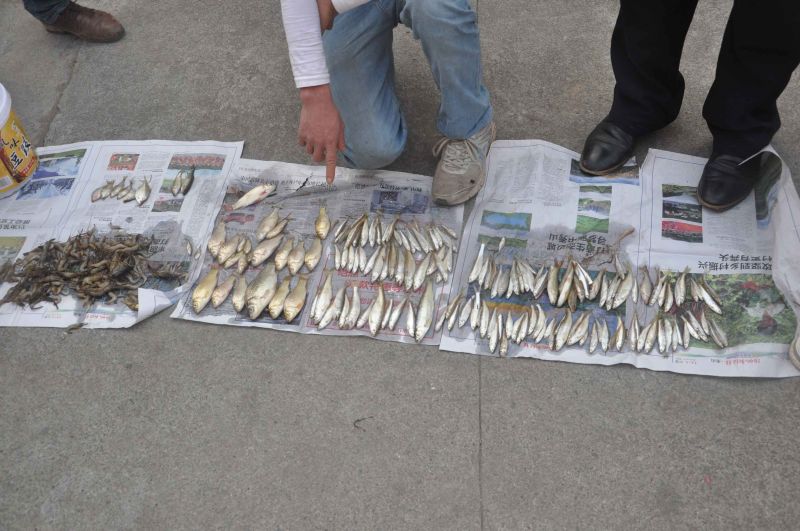 禁渔期非法捕鱼 这三名男子栽了