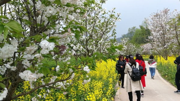 31℃！明天重庆开启“初夏”模式