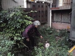 面条骨头避孕套啥都往下甩 婆婆打扫滑倒摔断腰