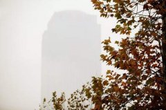 本周阴雨唱“主角” 最低温或跌破3℃