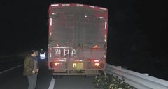 大树长了脚？跟着货车上高速路“兜风”