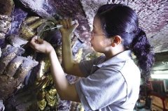 “石头御医”面壁8年 拯救千手观音