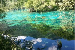 还去什么九寨沟？美得像神话世界的地方，重庆就有！