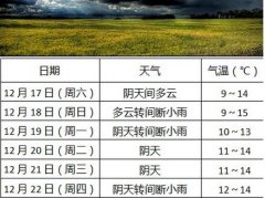 珍惜阳光赶紧出门晒太阳了！ 未来几天阴雨又将到来