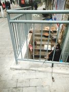 路边宰杀家禽 乱糟糟影响通行