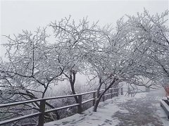 元宵节天气转好 赏月有望