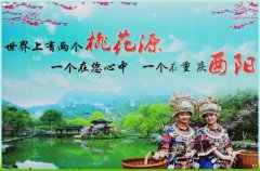 2017年央视元宵晚会 火了重庆的这个县