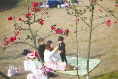 渝北春花渐欲迷人眼 请收下这份最新赏花地图