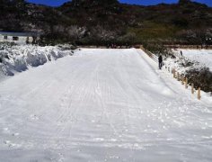 大福利！金佛山免费玩雪