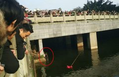 新手司机油门当刹车冲下河 憋口气从车窗游出来