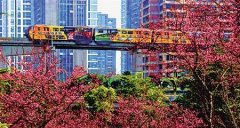 重庆下周将出现断崖式降温