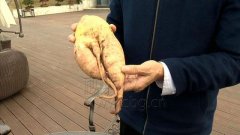 男子菜地挖出萝卜 成精似“人形”