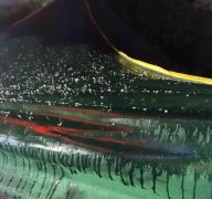 渝北冉家坝昨夜下冰雹了！你看到了吗？