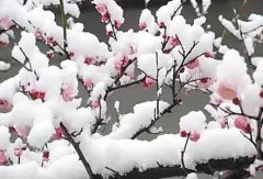 重庆未来两天还将持续低温阴雨天气 周末或升温