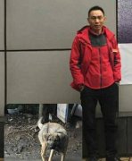 狗捡到钱包叼到派出所？真相是这样的！