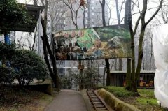 “一个人的动物园”已停业整顿