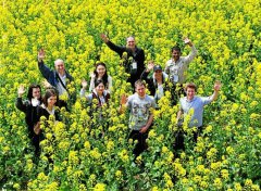 菜花节今天开幕 数万游客涌进景区