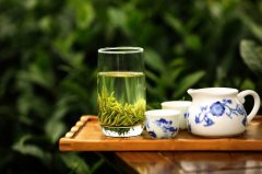 本周末 巴南定心茶园邀你采茶学艺