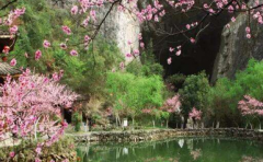 穿越黑山谷 看“十里桃花”！