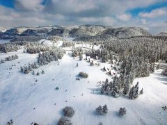 仙女山骤降大雪 三八节陪她一起到“白头”