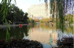 这些重庆的“第一次”，你知道吗？