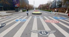 重庆一斑马线上全是豪车车标