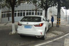 “武侠迷”开车看小说 竟分神冲上人行道